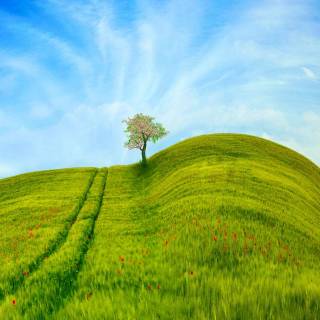 Blue sky mobile wallpaper