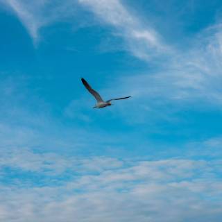 Blue sky mobile wallpaper
