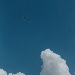 Blue sky mobile wallpaper