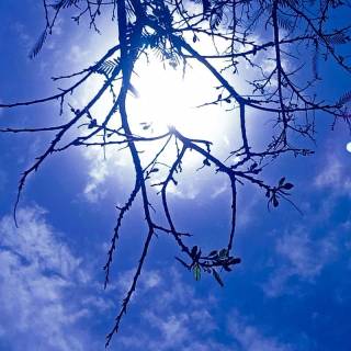 Blue sky mobile wallpaper