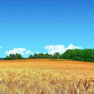 Blue sky mobile wallpaper