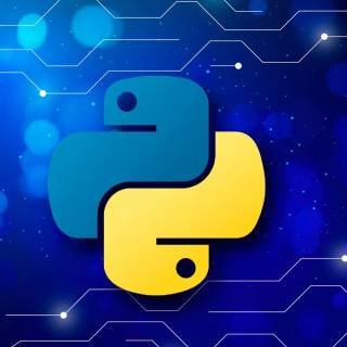 Programmer mobile wallpaper