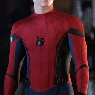 Tom Holland mobile wallpaper