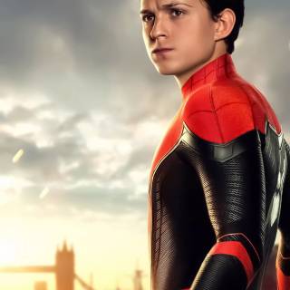 Tom Holland mobile wallpaper