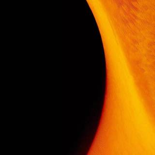 Dune mobile wallpaper