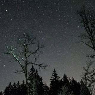 Night sky laptop wallpaper