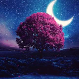 Night sky laptop wallpaper