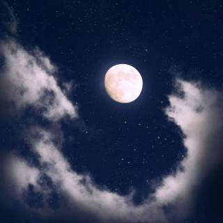 Vertical moon wallpaper