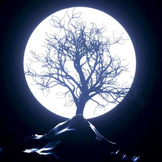 Vertical moon wallpaper