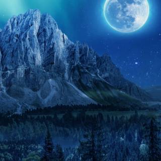 Vertical moon wallpaper