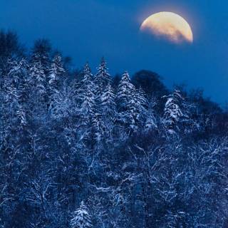 Vertical moon wallpaper