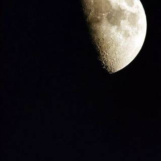 Vertical moon wallpaper