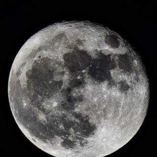 Vertical moon wallpaper