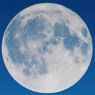 Vertical moon wallpaper