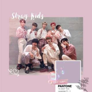 Stray Kids pink wallpaper