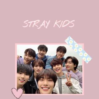 Stray Kids pink wallpaper