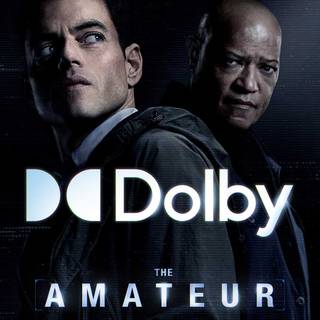 The Amateur wallpaper