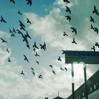 Mogwai: If the Stars Had a Sound wallpaper