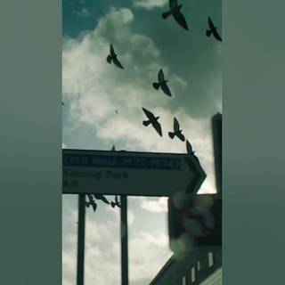 Mogwai: If the Stars Had a Sound wallpaper