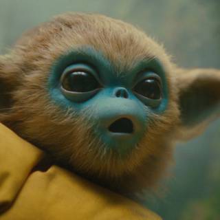 The Legend of Ochi wallpaper