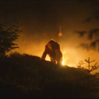 The Legend of Ochi wallpaper