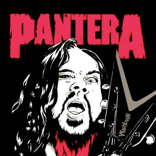 Damageplan wallpaper