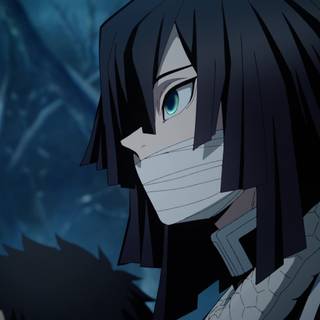 Demon Slayer: Kimetsu No Yaiba - To the Hashira Training wallpaper