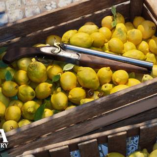 Mafia: The Old Country wallpaper