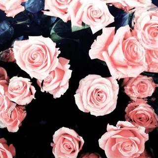 Girly Macbook wallpaper