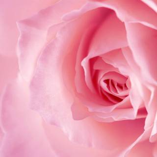 Girly Macbook wallpaper