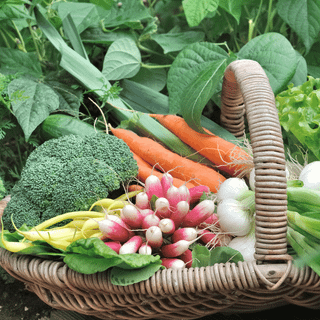 Green vegetables wallpaper