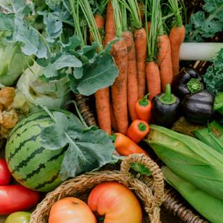 Green vegetables wallpaper