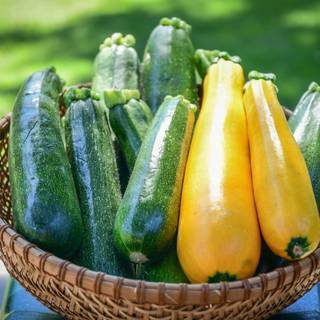 Green vegetables wallpaper