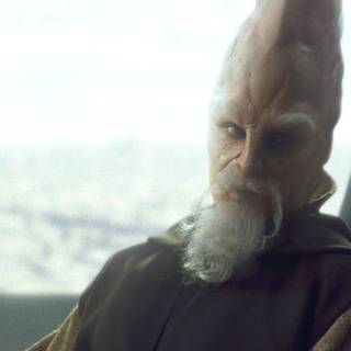 Ki-Adi-Mundi wallpaper