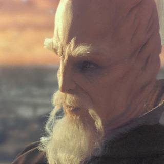 Ki-Adi-Mundi wallpaper