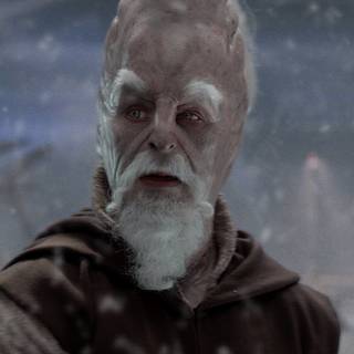 Ki-Adi-Mundi wallpaper