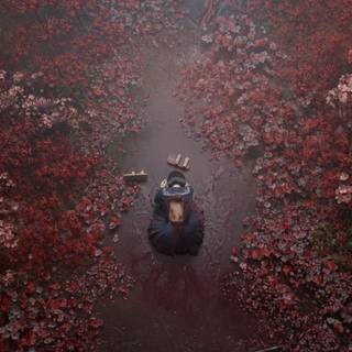 Silent Hill f wallpaper