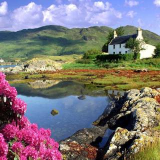 Scotland spring wallpaper