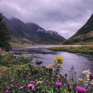 Scotland spring wallpaper