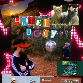 Hotel Ugly wallpaper