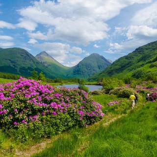 Scotland spring wallpaper