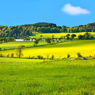 Scotland spring wallpaper