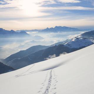 Windows 7 Beta wallpaper