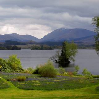 Scotland spring wallpaper