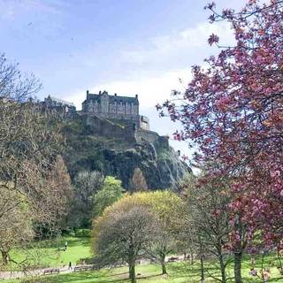 Scotland spring wallpaper