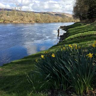 Scotland spring wallpaper