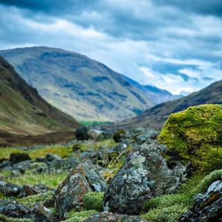 Scotland spring wallpaper