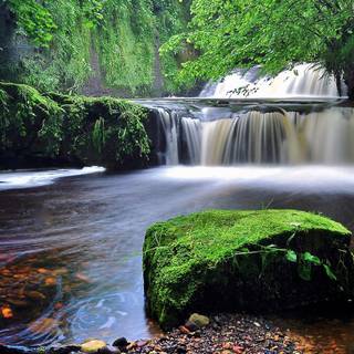 Scotland spring wallpaper