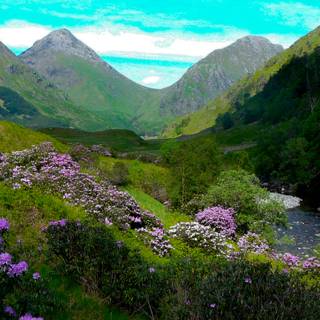 Scotland spring wallpaper