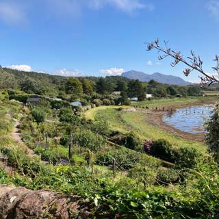 Scotland spring wallpaper